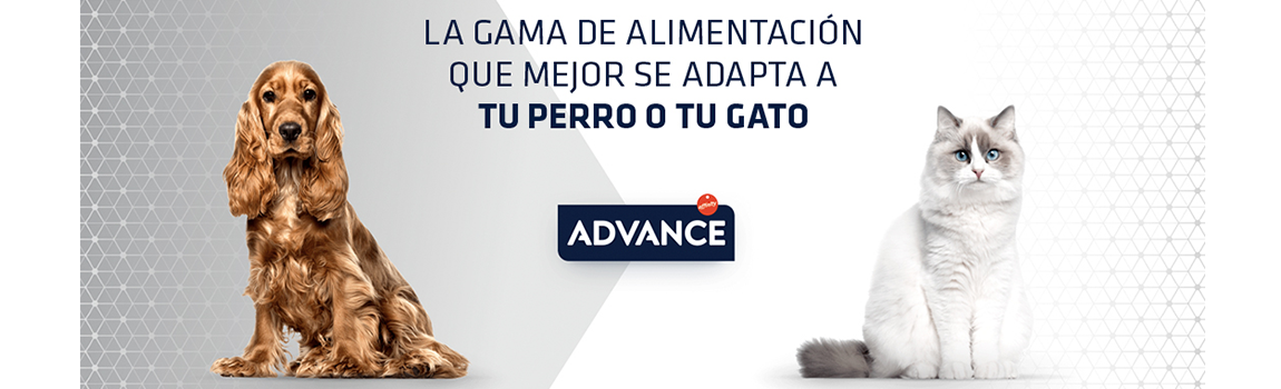 Advance-0